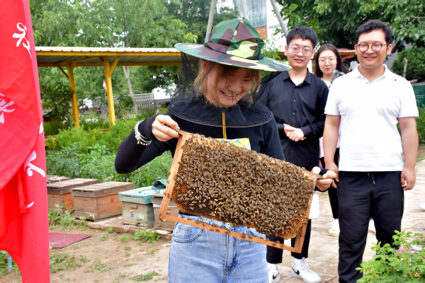 走進蜜蜂王國領(lǐng)略養(yǎng)蜂文化——經(jīng)濟管理學院“非遺助農(nóng)產(chǎn)業(yè)營銷”指導(dǎo)實踐團走進農(nóng)戶