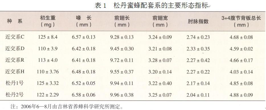 松丹一號(hào)和美意蜂雜交如何（松丹蜜蜂配套系）