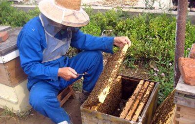 孫紅亮：養(yǎng)蜂釀出脫貧致富新生活